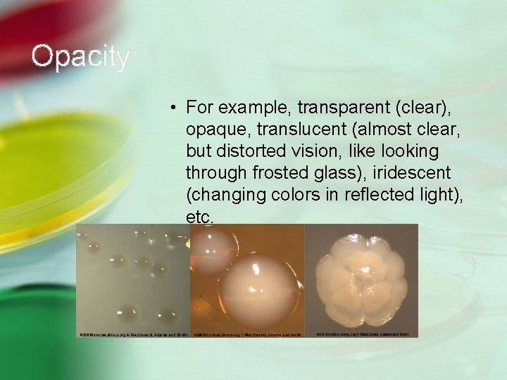 Opacity • For example, transparent (clear), opaque, translucent (almost clear, but distorted vision, like