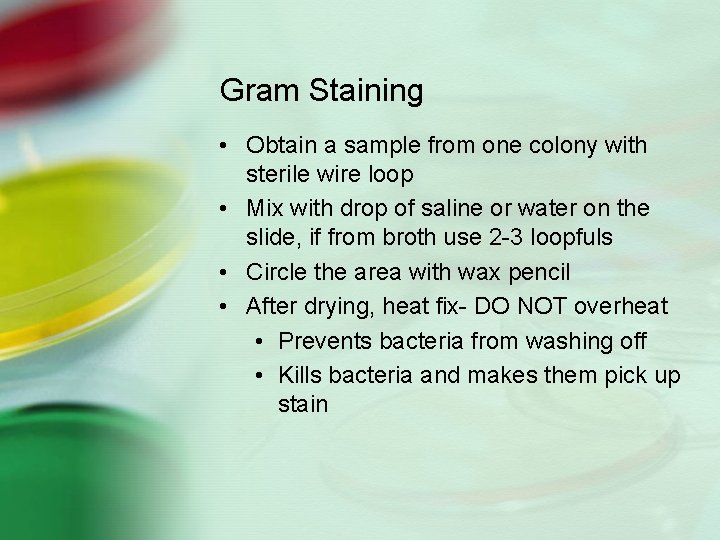 Gram Staining • Obtain a sample from one colony with sterile wire loop •