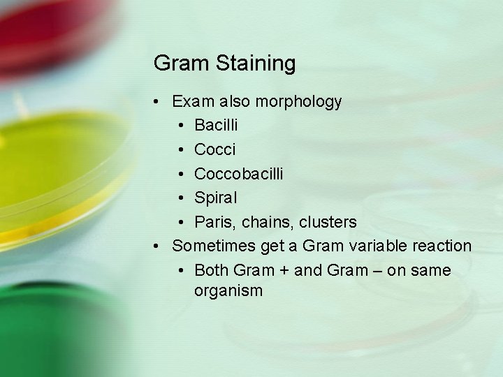 Gram Staining • Exam also morphology • Bacilli • Coccobacilli • Spiral • Paris,