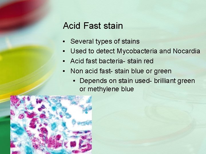 Acid Fast stain • • Several types of stains Used to detect Mycobacteria and