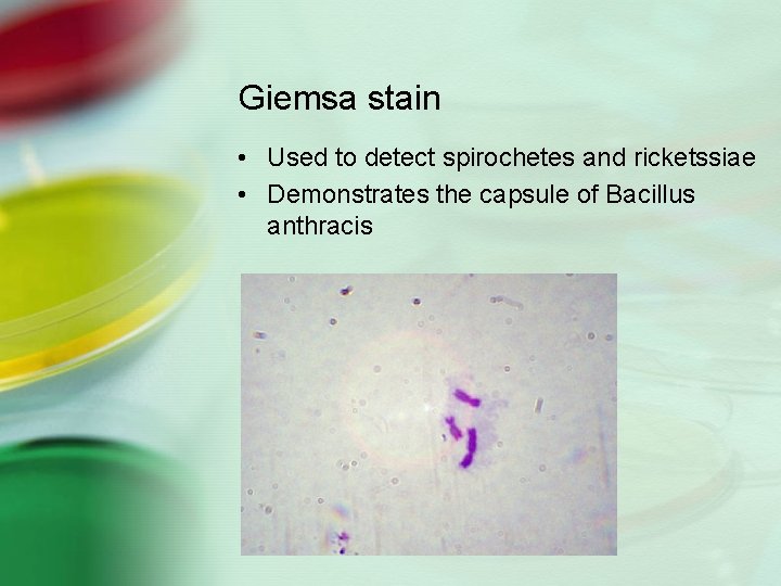 Giemsa stain • Used to detect spirochetes and ricketssiae • Demonstrates the capsule of