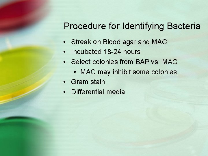 Procedure for Identifying Bacteria • Streak on Blood agar and MAC • Incubated 18