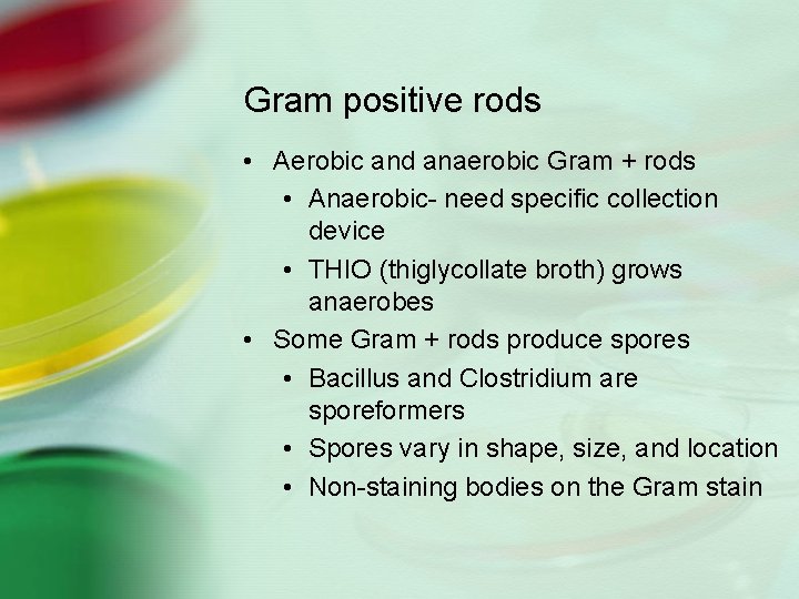 Gram positive rods • Aerobic and anaerobic Gram + rods • Anaerobic- need specific