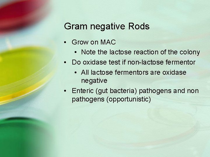 Gram negative Rods • Grow on MAC • Note the lactose reaction of the