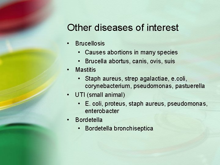 Other diseases of interest • Brucellosis • Causes abortions in many species • Brucella