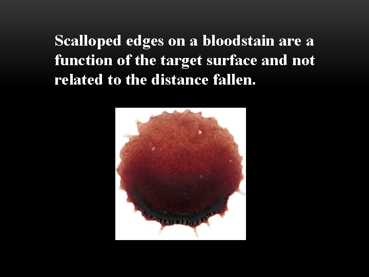 Scalloped edges on a bloodstain are a function of the target surface and not