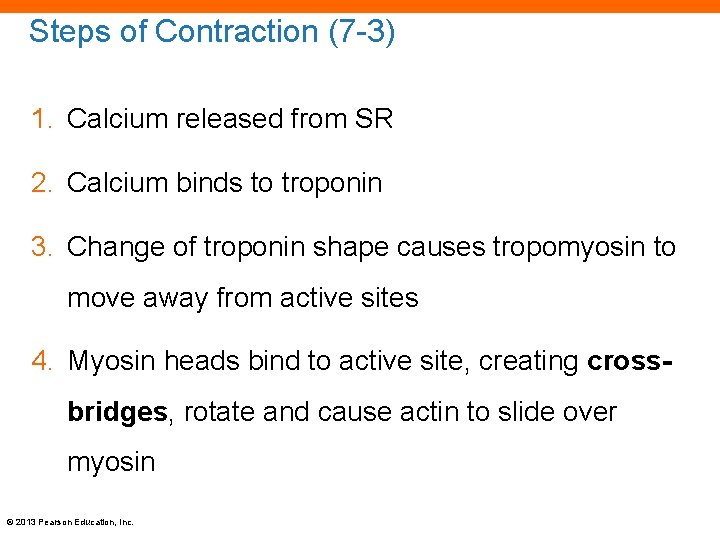 Steps of Contraction (7 -3) 1. Calcium released from SR 2. Calcium binds to