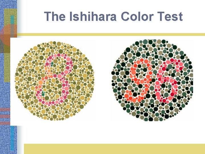 The Ishihara Color Test 