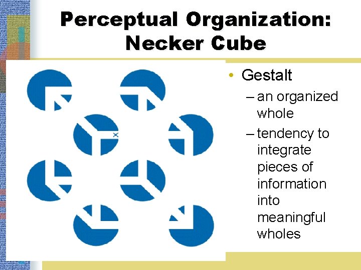 Perceptual Organization: Necker Cube • Gestalt – an organized whole – tendency to integrate