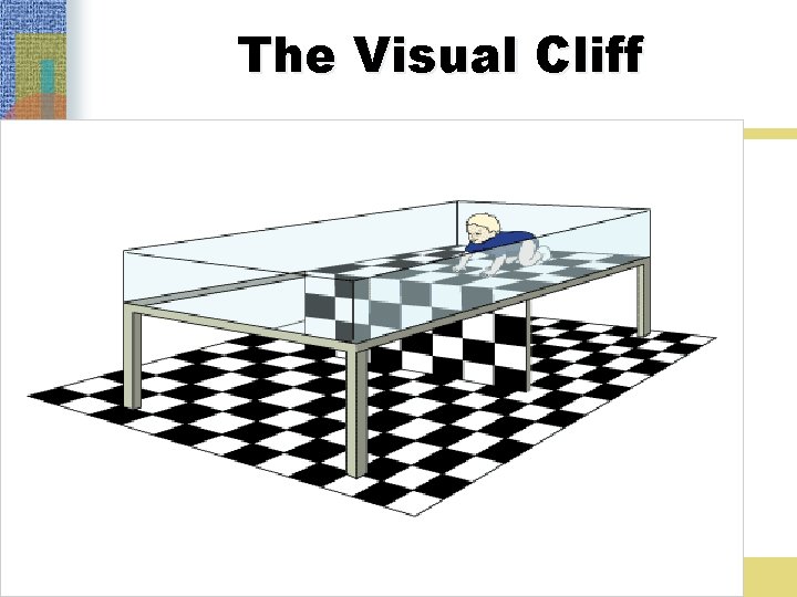 The Visual Cliff 