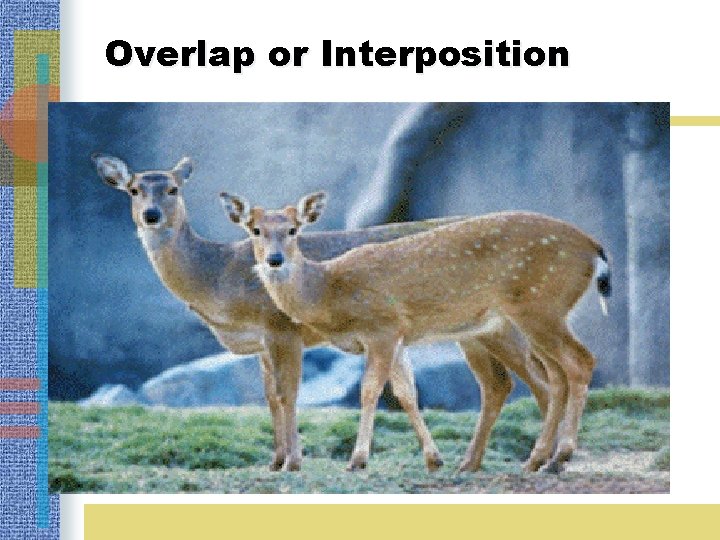 Overlap or Interposition 