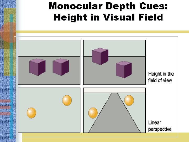 Monocular Depth Cues: Height in Visual Field 