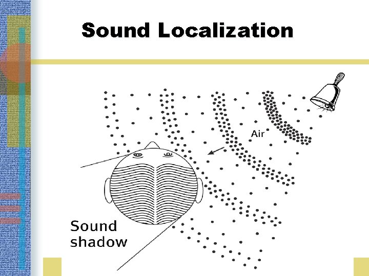 Sound Localization 