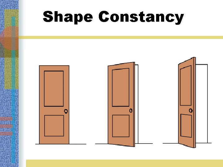 Shape Constancy 