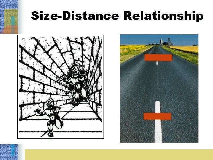 Size-Distance Relationship 