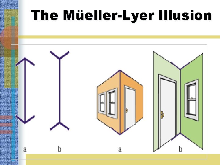 The Müeller-Lyer Illusion 