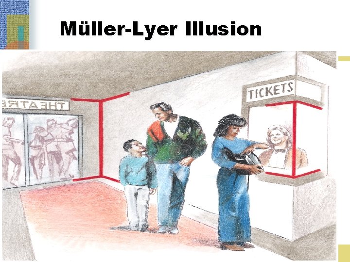 Müller-Lyer Illusion 