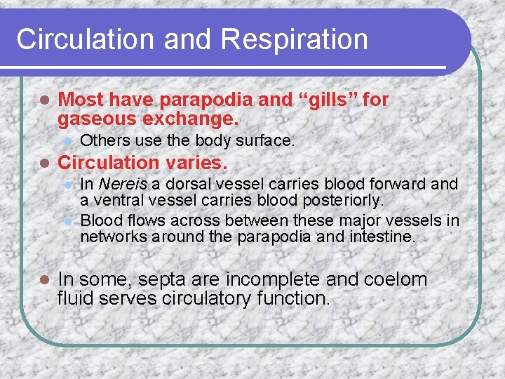 Circulation and Respiration l Most have parapodia and “gills” for gaseous exchange. l l