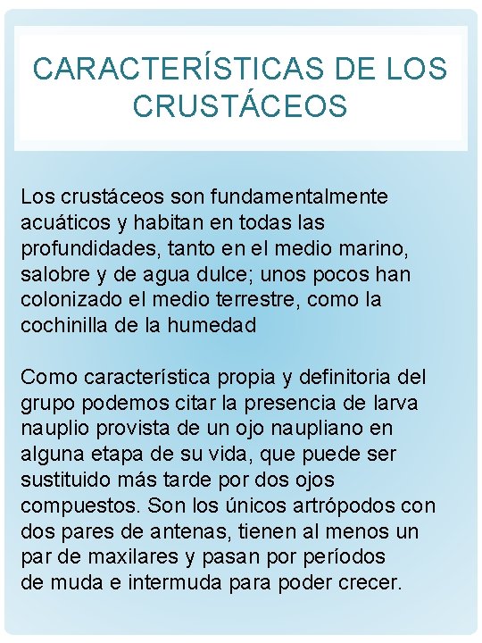 CARACTERÍSTICAS DE LOS CRUSTÁCEOS Los crustáceos son fundamentalmente acuáticos y habitan en todas las