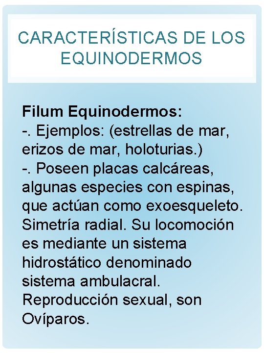 CARACTERÍSTICAS DE LOS EQUINODERMOS Filum Equinodermos: -. Ejemplos: (estrellas de mar, erizos de mar,