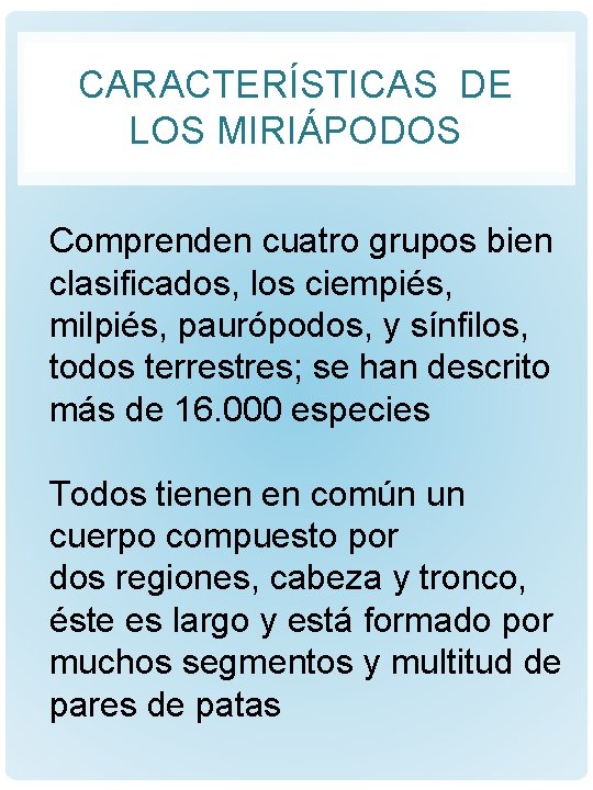 CARACTERÍSTICAS DE LOS MIRIÁPODOS Comprenden cuatro grupos bien clasificados, los ciempiés, milpiés, paurópodos, y