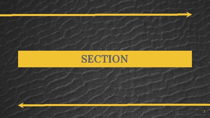 SECTION 3 