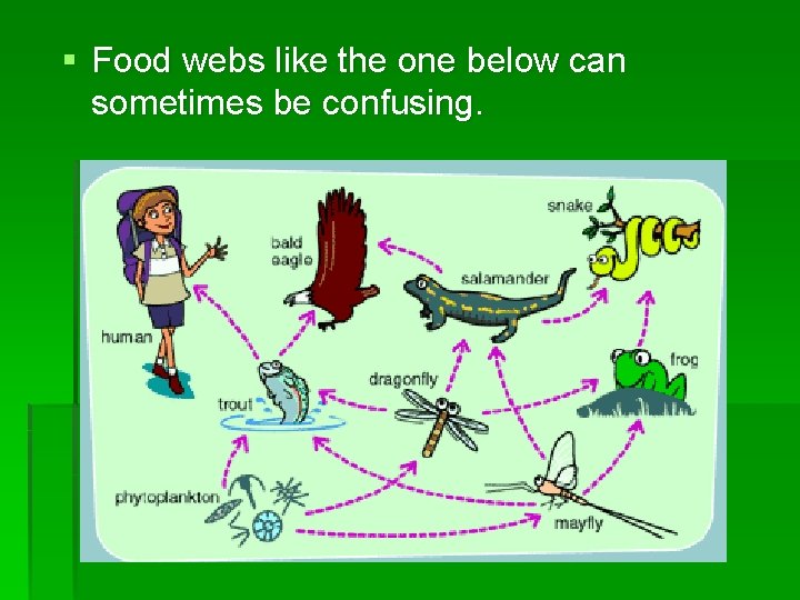 § Food webs like the one below can sometimes be confusing. 