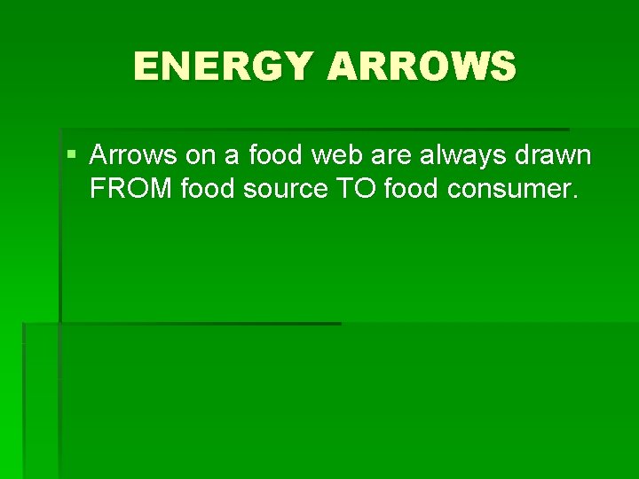 ENERGY ARROWS § Arrows on a food web are always drawn FROM food source