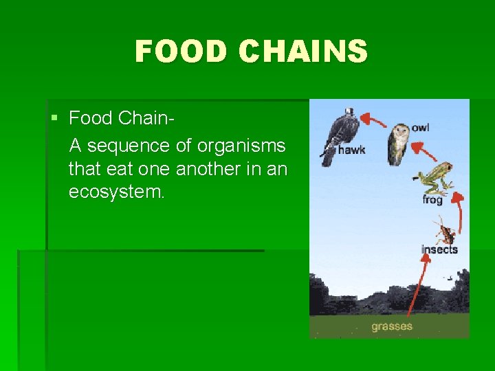 FOOD CHAINS § Food Chain. A sequence of organisms that eat one another in