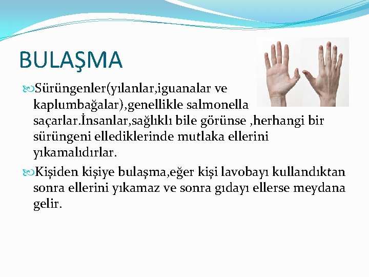 BULAŞMA Sürüngenler(yılanlar, iguanalar ve kaplumbağalar), genellikle salmonella saçarlar. İnsanlar, sağlıklı bile görünse , herhangi