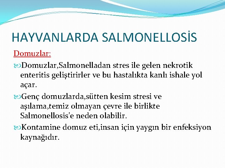 HAYVANLARDA SALMONELLOSİS Domuzlar: Domuzlar, Salmonelladan stres ile gelen nekrotik enteritis geliştirirler ve bu hastalıkta