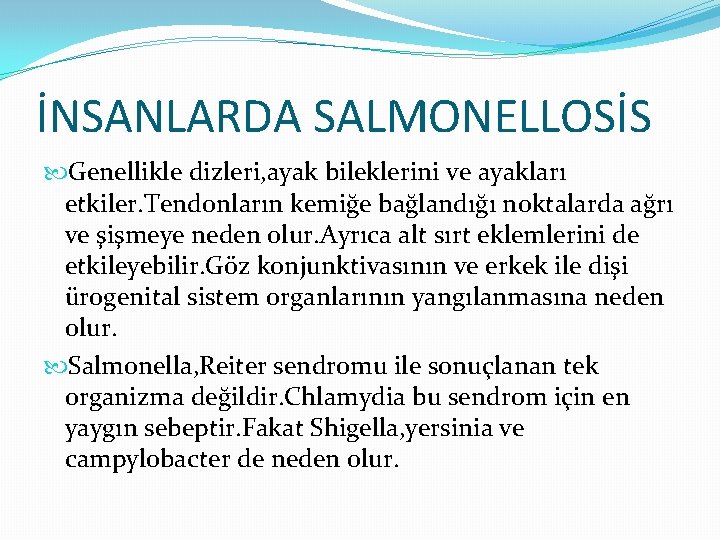 İNSANLARDA SALMONELLOSİS Genellikle dizleri, ayak bileklerini ve ayakları etkiler. Tendonların kemiğe bağlandığı noktalarda ağrı