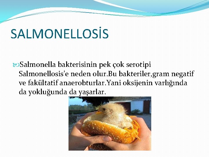 SALMONELLOSİS Salmonella bakterisinin pek çok serotipi Salmonellosis’e neden olur. Bu bakteriler, gram negatif ve