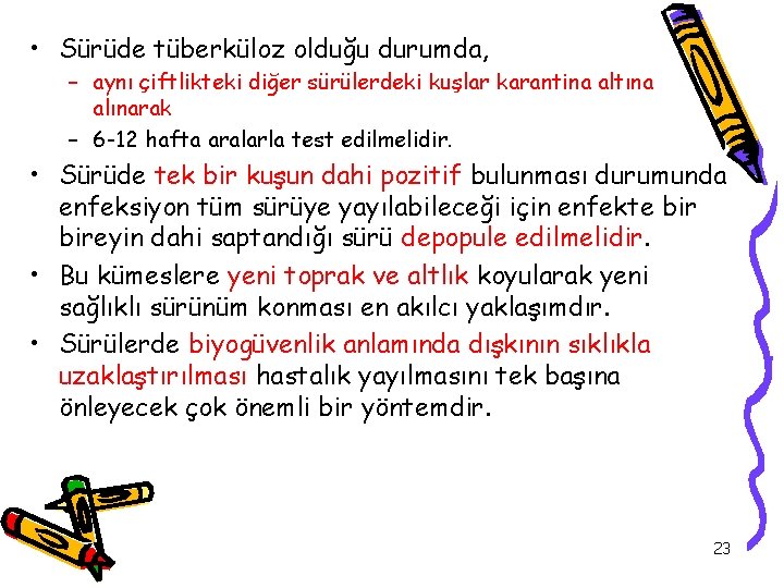  • Sürüde tüberküloz olduğu durumda, – aynı çiftlikteki diğer sürülerdeki kuşlar karantina altına