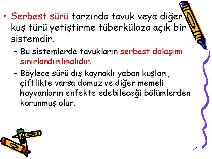  • Serbest sürü tarzında tavuk veya diğer kuş türü yetiştirme tüberküloza açık bir