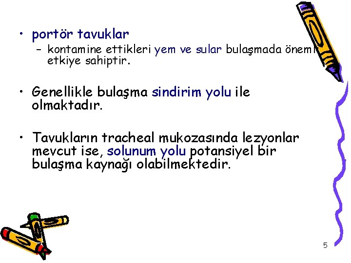  • portör tavuklar – kontamine ettikleri yem ve sular bulaşmada önemli etkiye sahiptir.