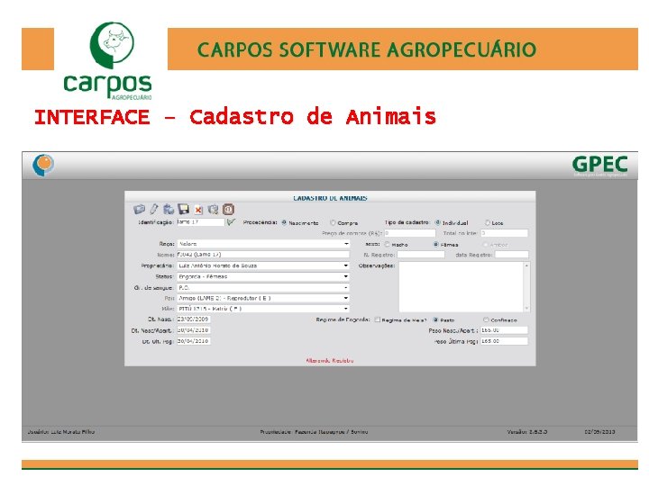 INTERFACE – Cadastro de Animais 