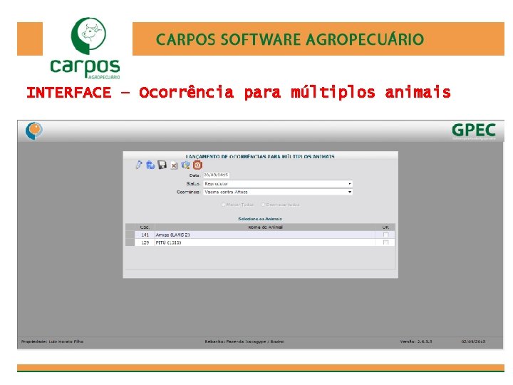 INTERFACE – Ocorrência para múltiplos animais 