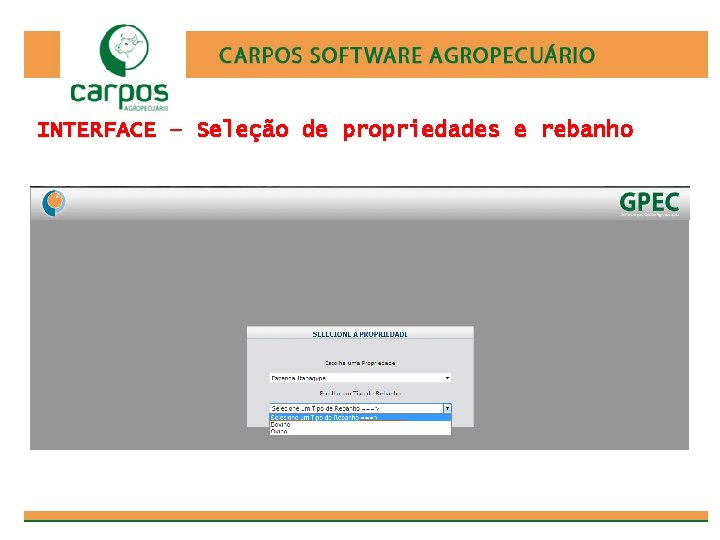 INTERFACE – Seleção de propriedades e rebanho 