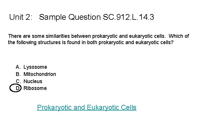 Unit 2: Sample Question SC. 912. L. 14. 3 There are some similarities between