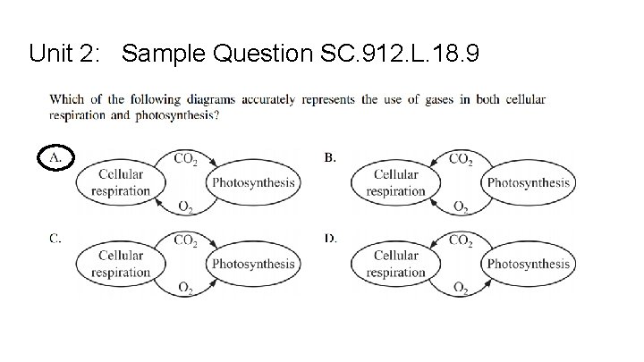 Unit 2: Sample Question SC. 912. L. 18. 9 