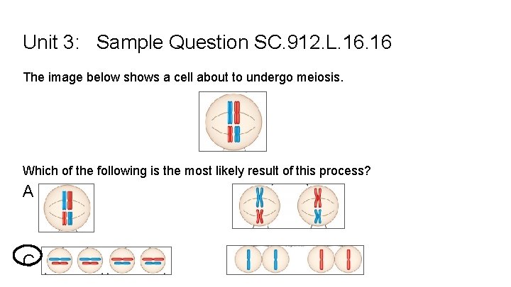 Unit 3: Sample Question SC. 912. L. 16 The image below shows a cell