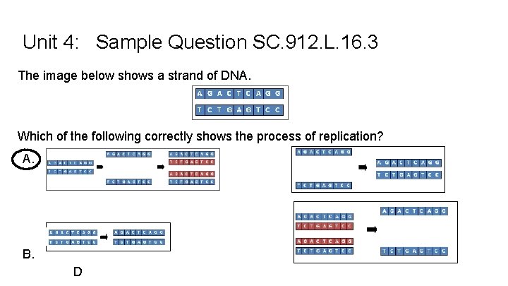 Unit 4: Sample Question SC. 912. L. 16. 3 The image below shows a