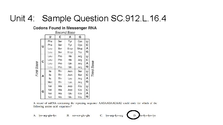 Unit 4: Sample Question SC. 912. L. 16. 4 