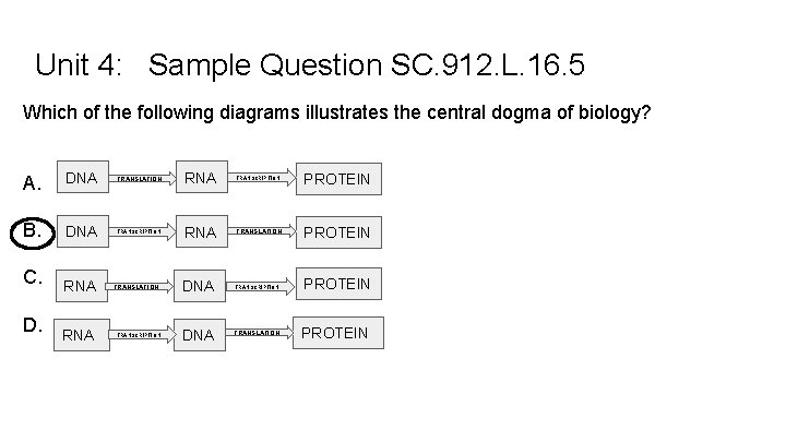 Unit 4: Sample Question SC. 912. L. 16. 5 Which of the following diagrams