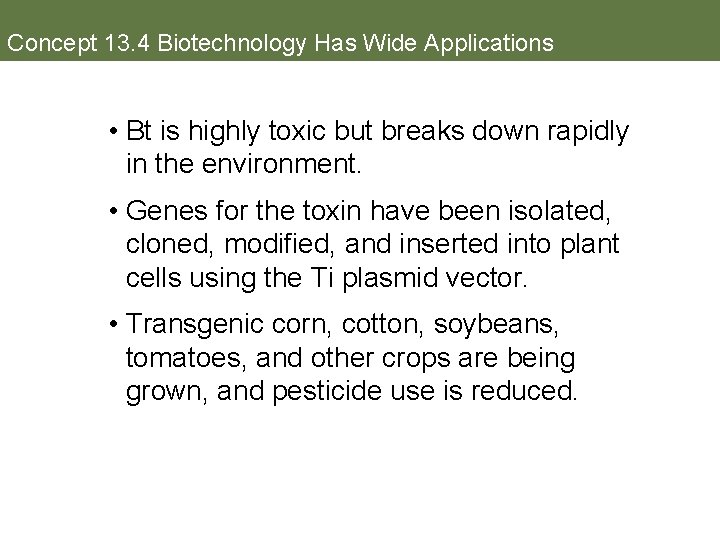 Concept 13. 4 Biotechnology Has Wide Applications • Bt is highly toxic but breaks