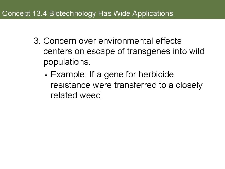 Concept 13. 4 Biotechnology Has Wide Applications 3. Concern over environmental effects centers on