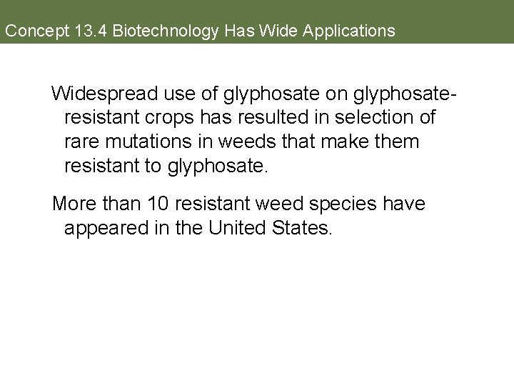 Concept 13. 4 Biotechnology Has Wide Applications Widespread use of glyphosate on glyphosateresistant crops