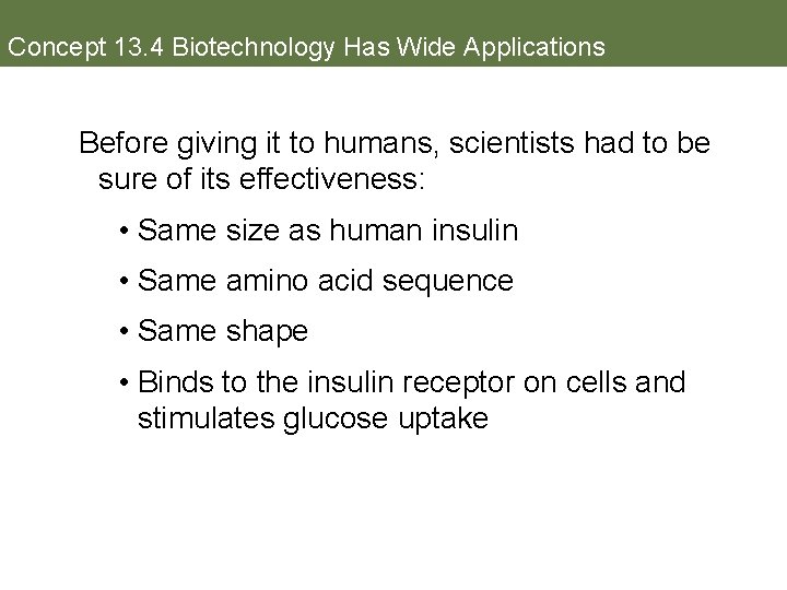 Concept 13. 4 Biotechnology Has Wide Applications Before giving it to humans, scientists had