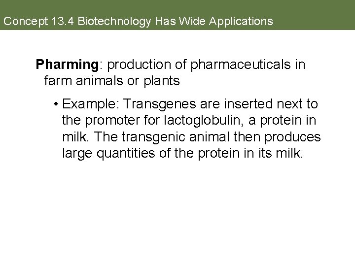 Concept 13. 4 Biotechnology Has Wide Applications Pharming: production of pharmaceuticals in farm animals